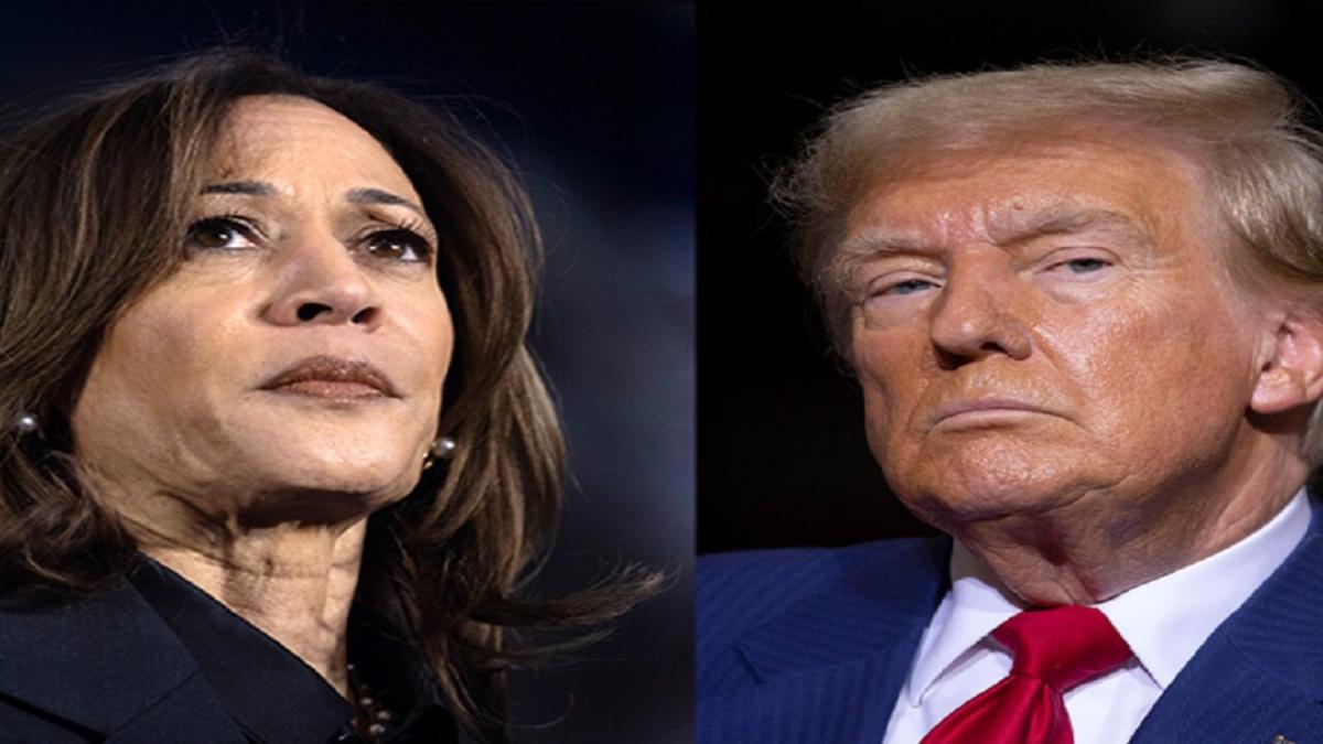 Kamala Harris  and Donald Trump 